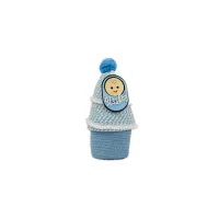 it’s a Boy Small Basket