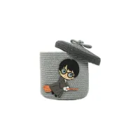 Harry Potter Lid Basket