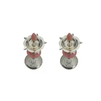 Resin Samai Pair